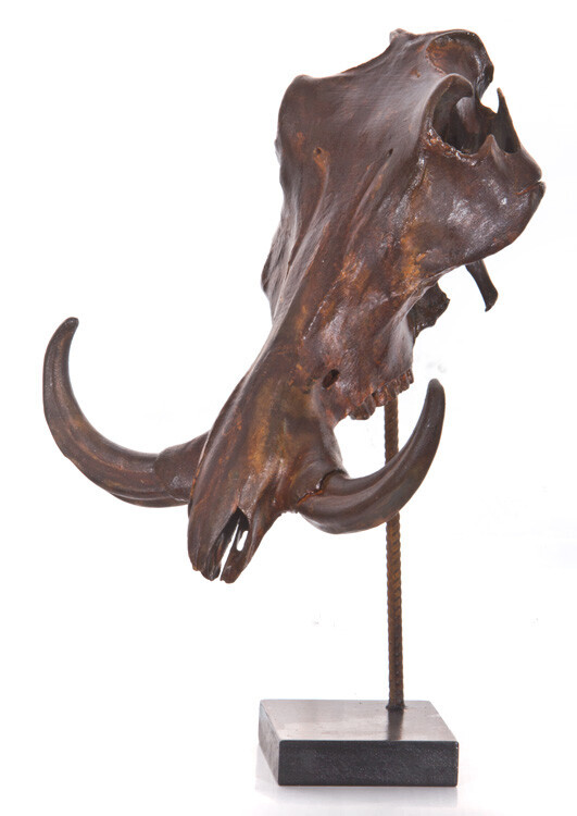 Bilder Tierpräparation Michael Dittert GbR