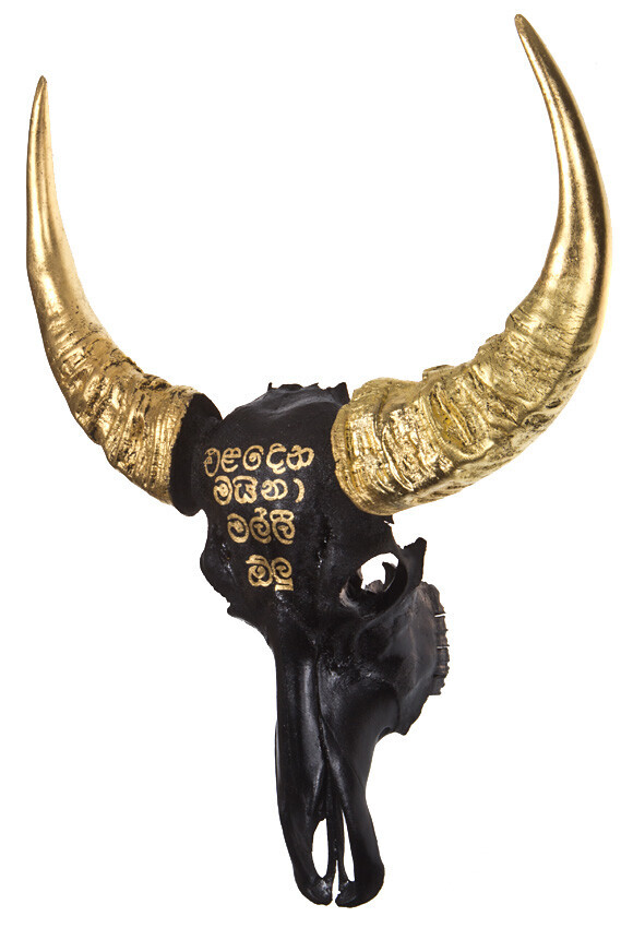 Bilder Tierpräparation Michael Dittert GbR