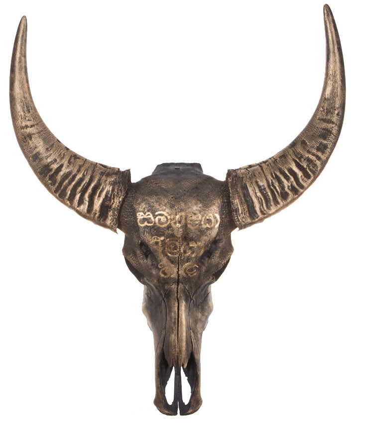 Bilder Tierpräparation Michael Dittert GbR