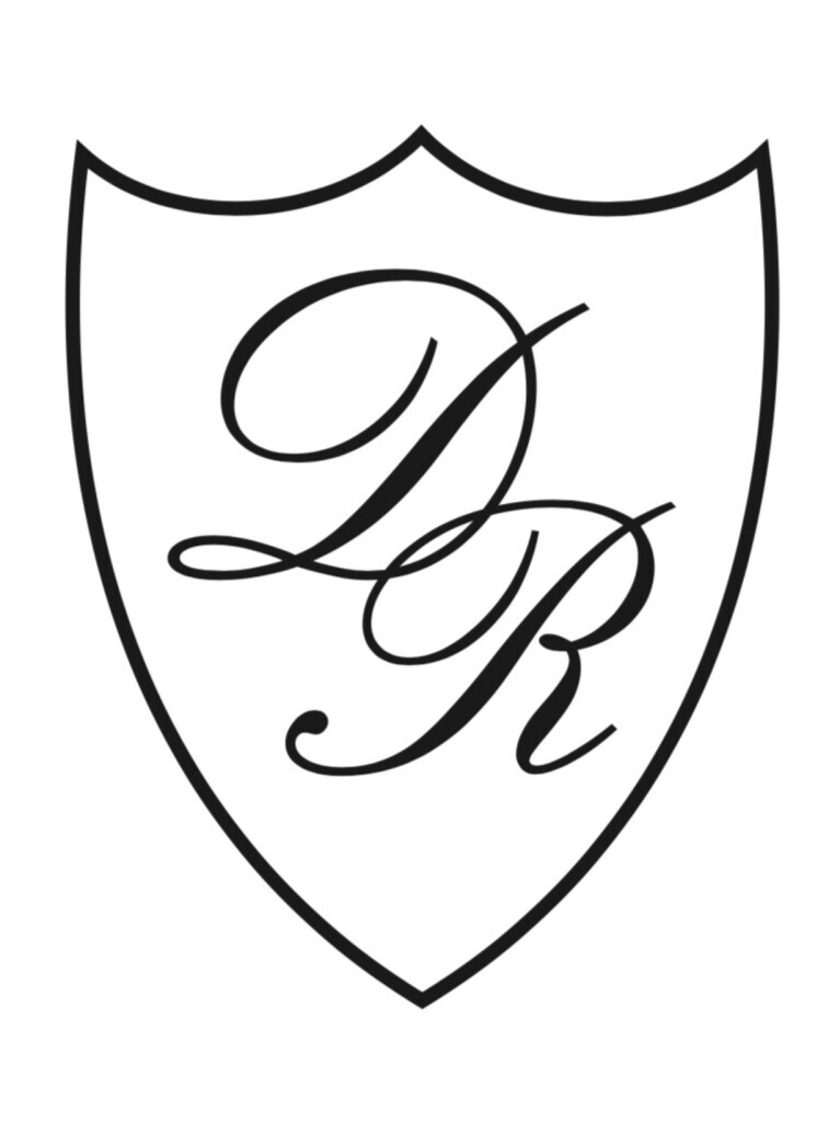DR - Dach Fassade Fenster Logo