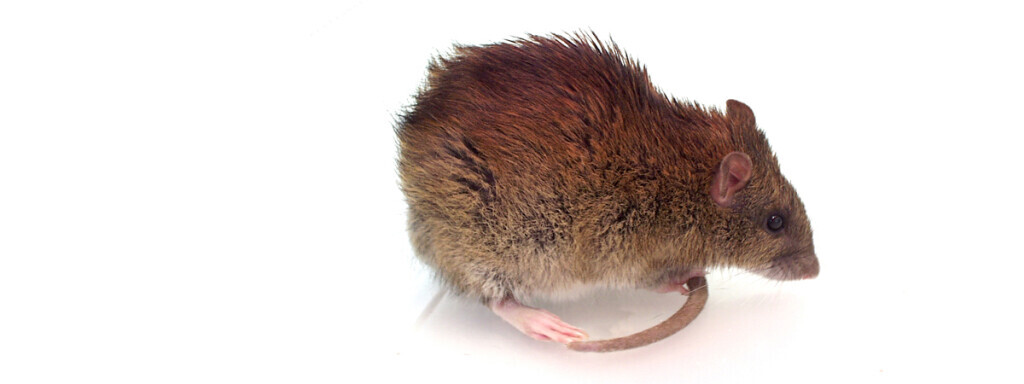 Bilder W. Puschmann GmbH