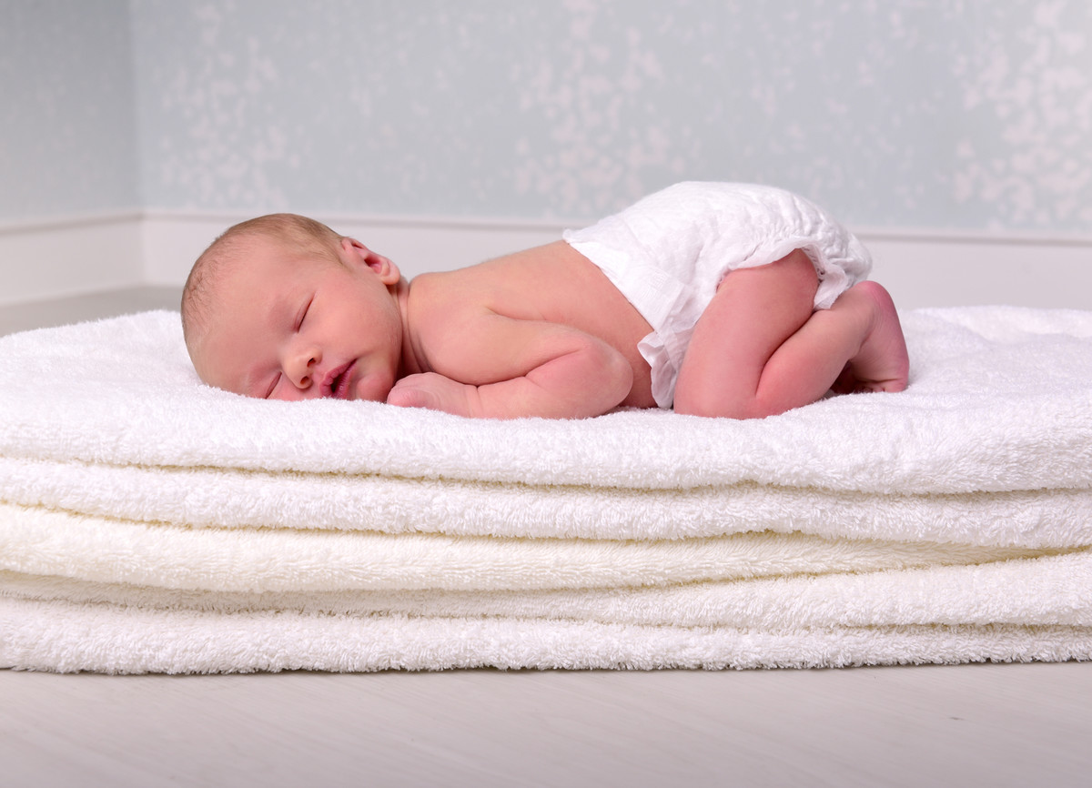 Bilder Foto Hahn Dresden