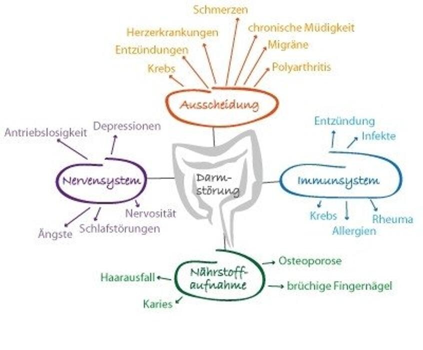 Bilder Heilpraktikerin Gabriele Heise Ganzheitliche Heilpraxis