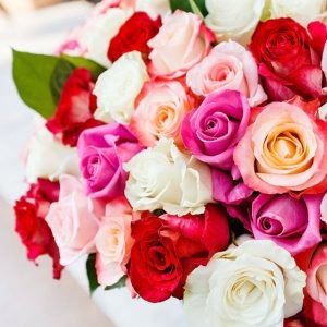 Bilder The Royal Group GmbH