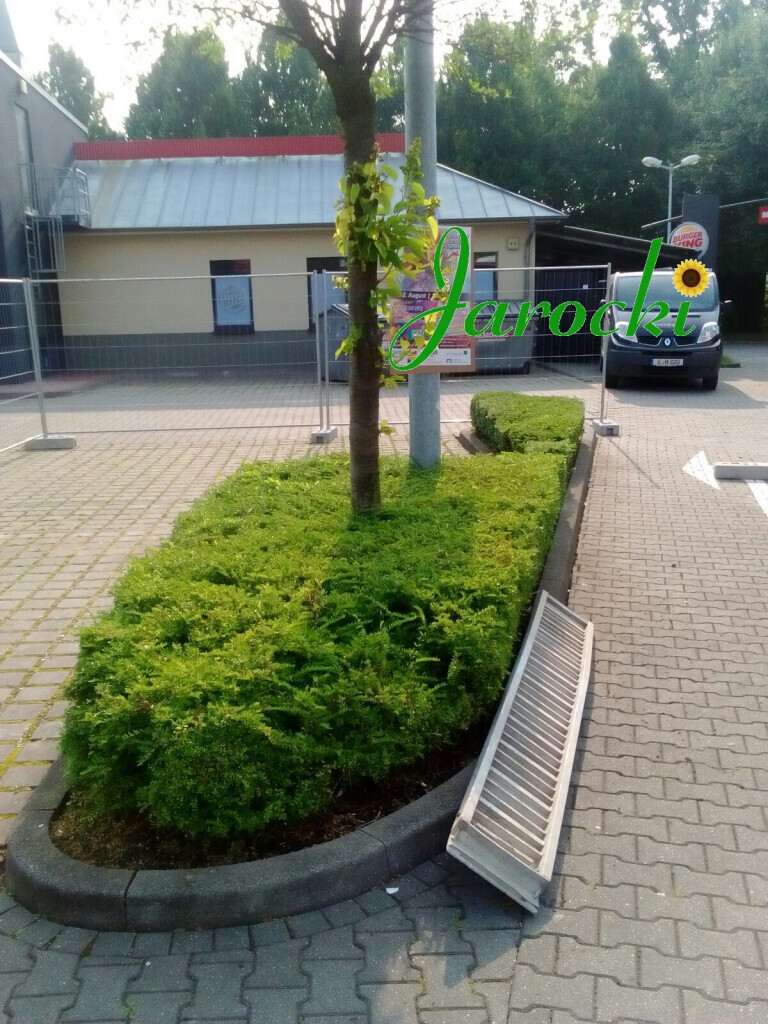 Bilder Garten-, Landschaftsbau & Containerservice Jarocki