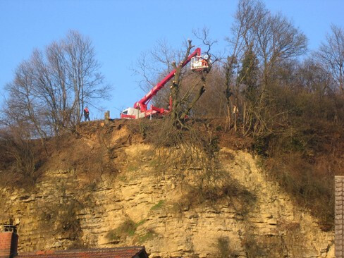 Bilder Waibel Forst- u. Gartenservice GmbH
