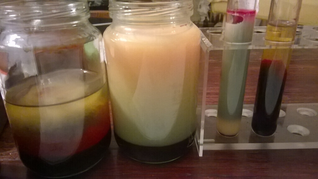 Bilder Hildegard von Bingen Berlin Daniela Dumann Heilpraktikerin