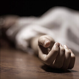 Bilder Kurt Brummer Schädlingsbekämpfung