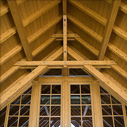 Bilder Kurt Brummer Schädlingsbekämpfung