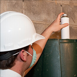 Bilder Kurt Brummer Schädlingsbekämpfung