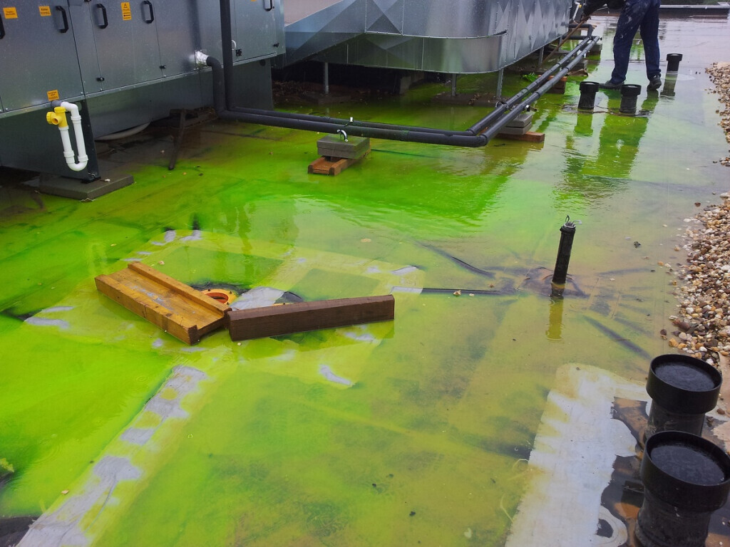 Bilder Facility Management Körfer GmbH