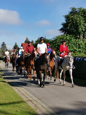 Bilder Reiterhof Daugzin C. Edel & E. Berkhahn GbR
