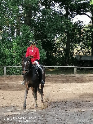 Bilder Reiterhof Daugzin C. Edel & E. Berkhahn GbR
