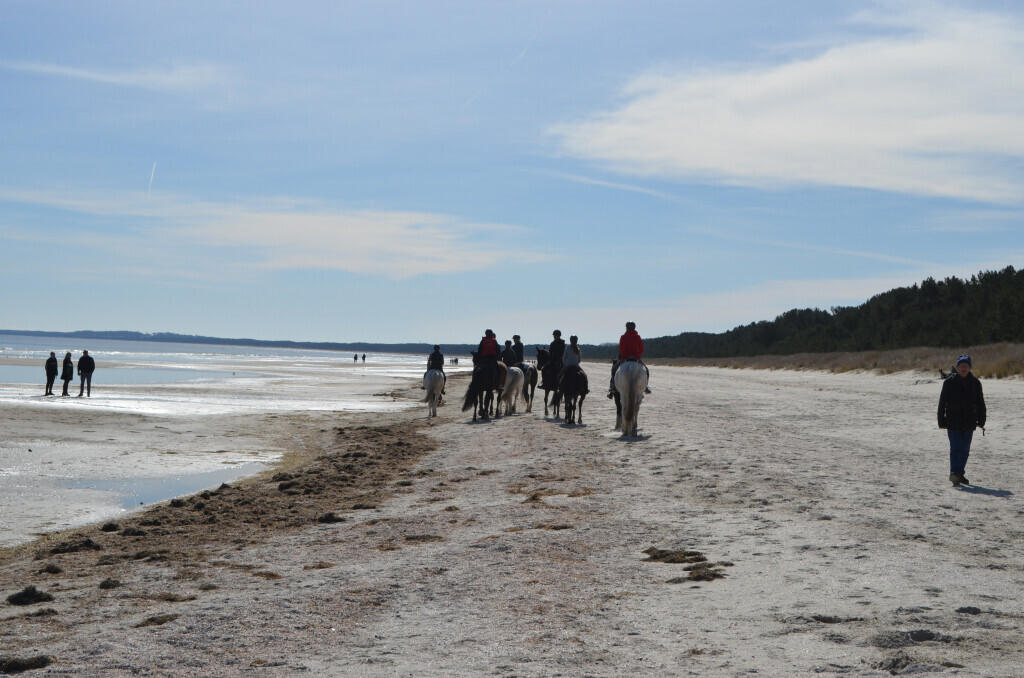 Bilder Reiterhof Daugzin C. Edel & E. Berkhahn GbR