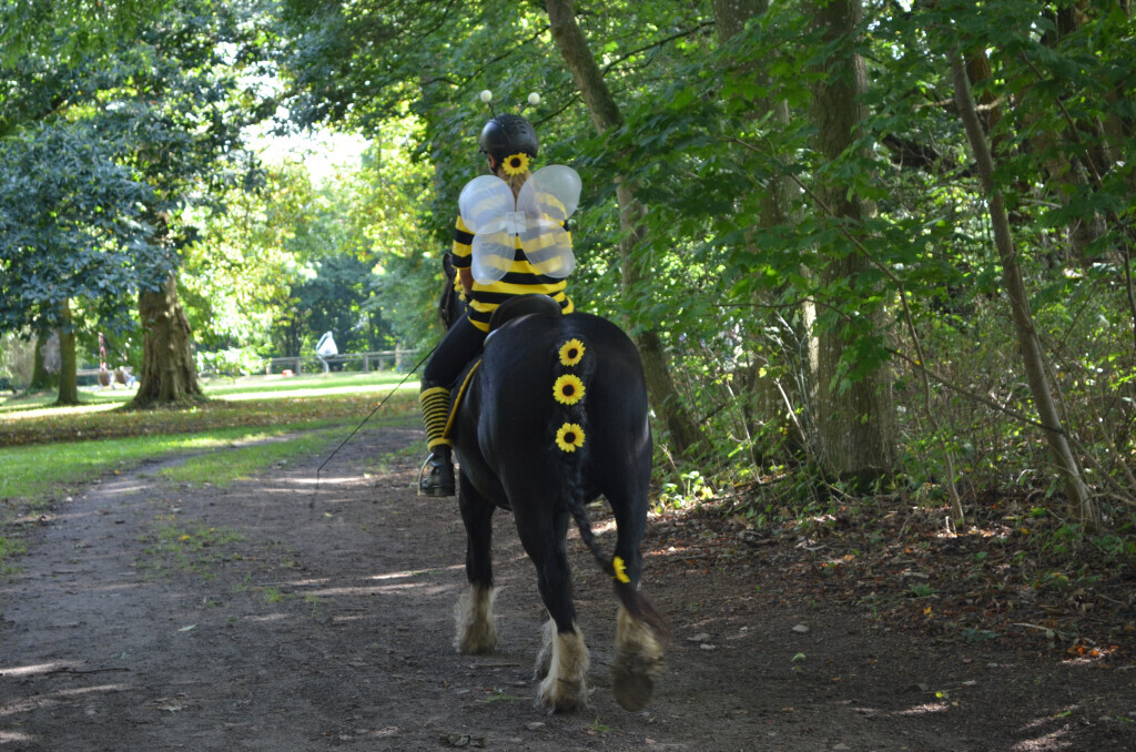 Bilder Reiterhof Daugzin C. Edel & E. Berkhahn GbR