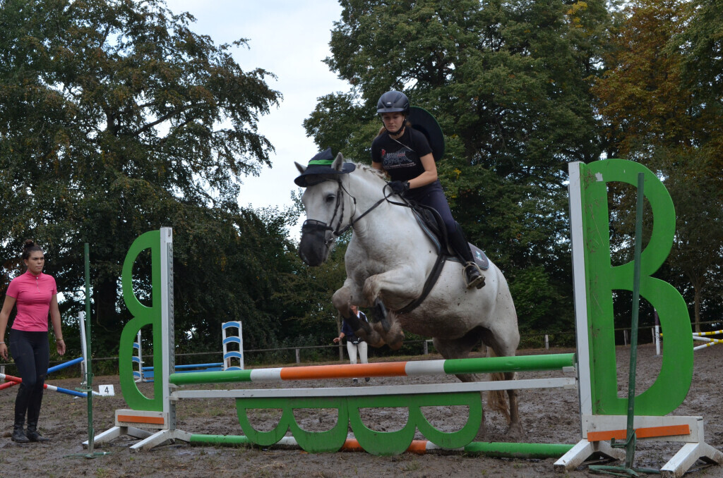 Bilder Reiterhof Daugzin C. Edel & E. Berkhahn GbR