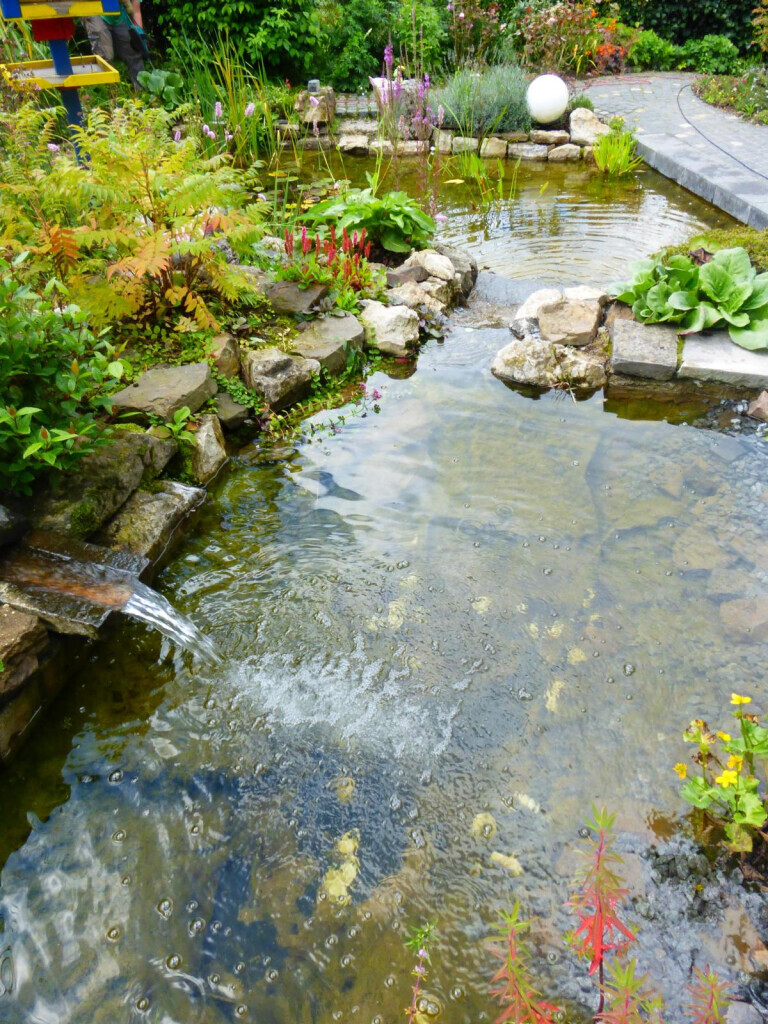 Bilder Stark im Garten