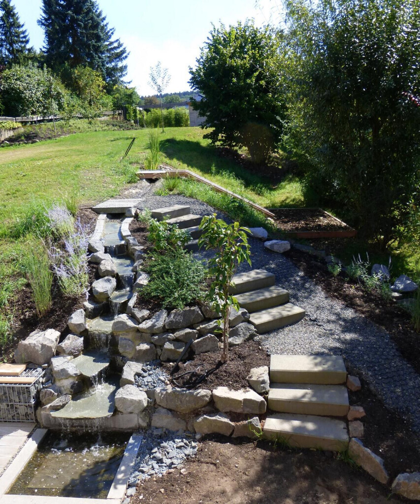 Bilder Stark im Garten