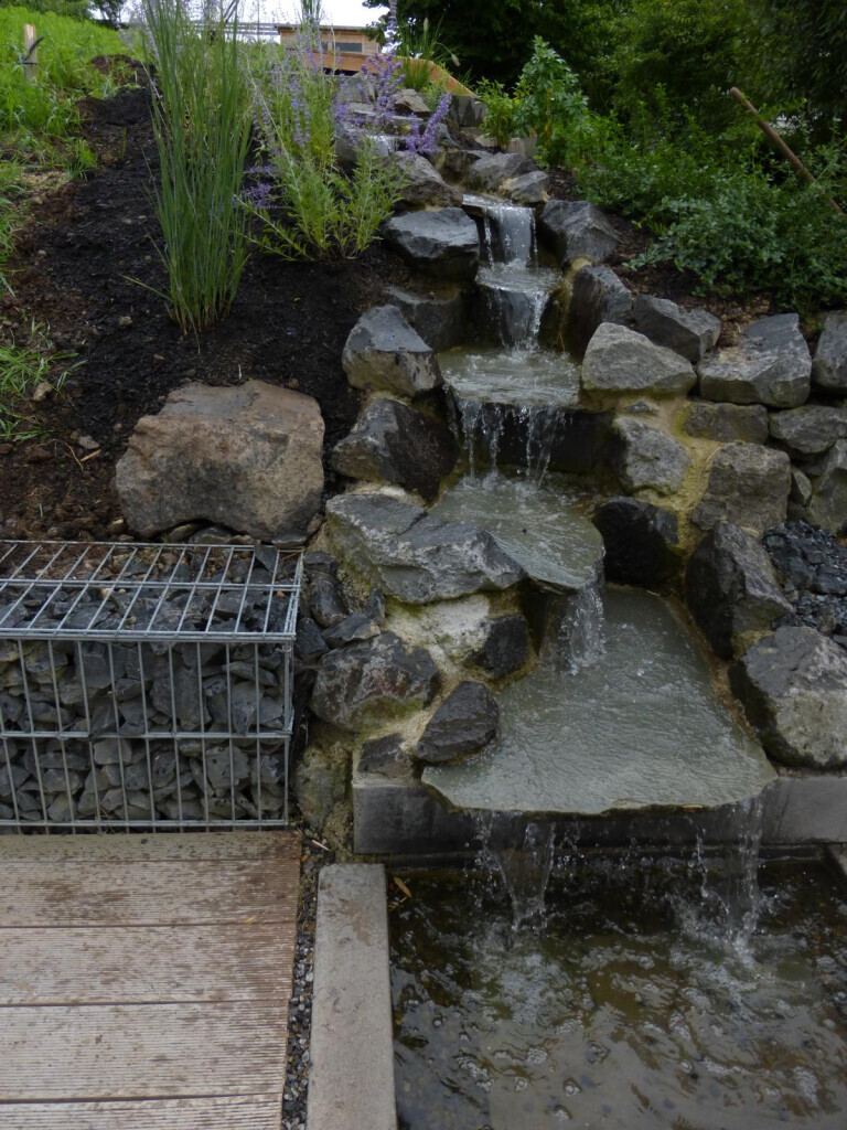 Bilder Stark im Garten