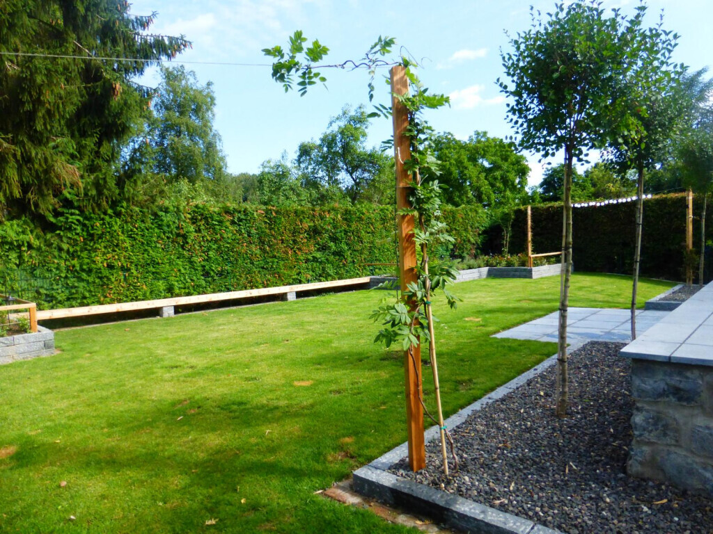 Bilder Stark im Garten