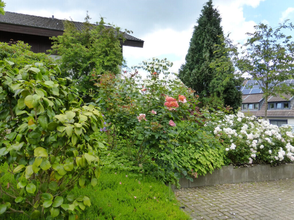 Bilder Stark im Garten