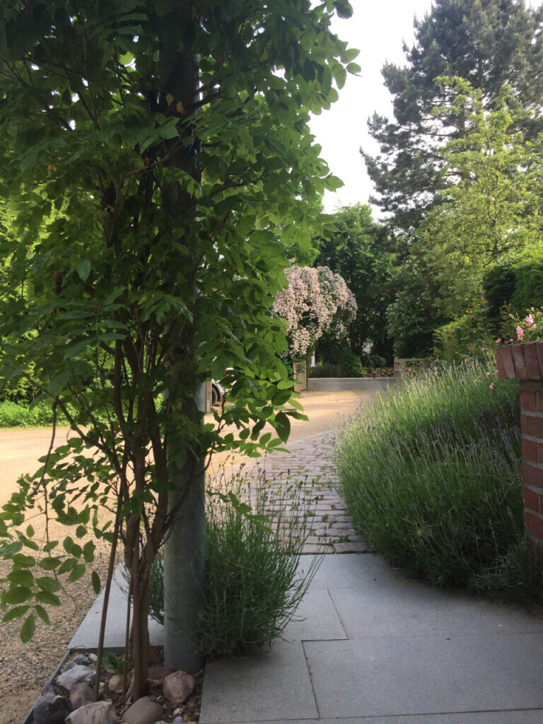 Bilder Hajo Rumpf Garten- und Landschaftsbau GmbH