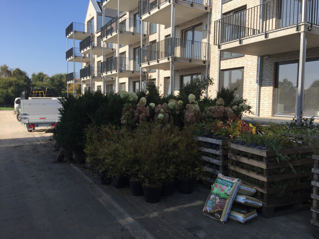 Bilder Hajo Rumpf Garten- und Landschaftsbau GmbH