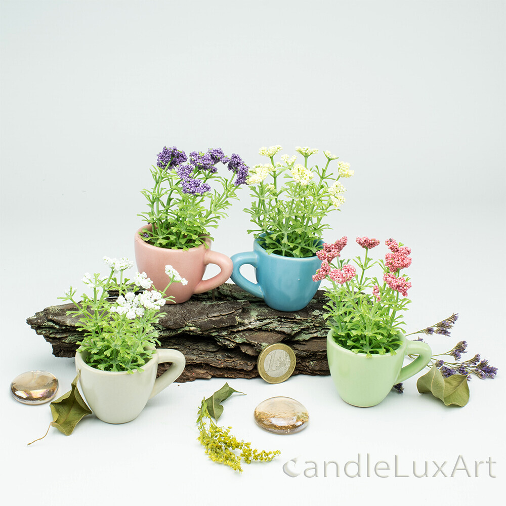 Bilder CandleLuxArt