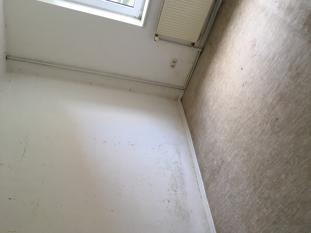 Bilder Der Transporter Wohnungs Haus  und Kellerräumung