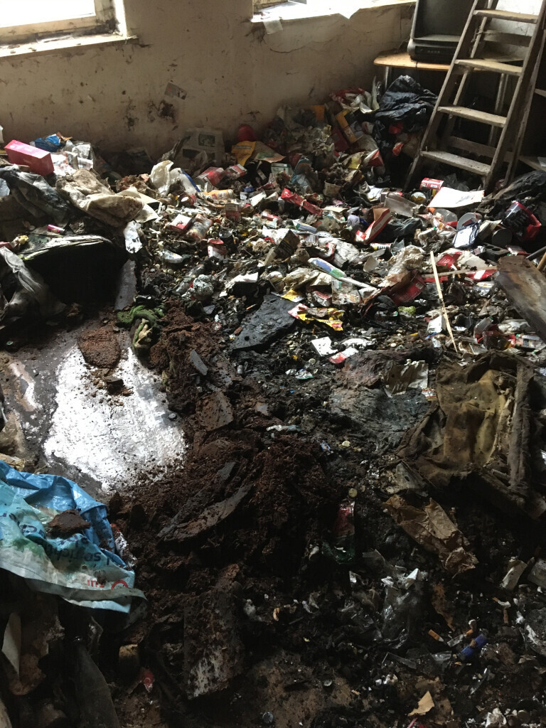 Bilder Der Transporter Wohnungs Haus  und Kellerräumung