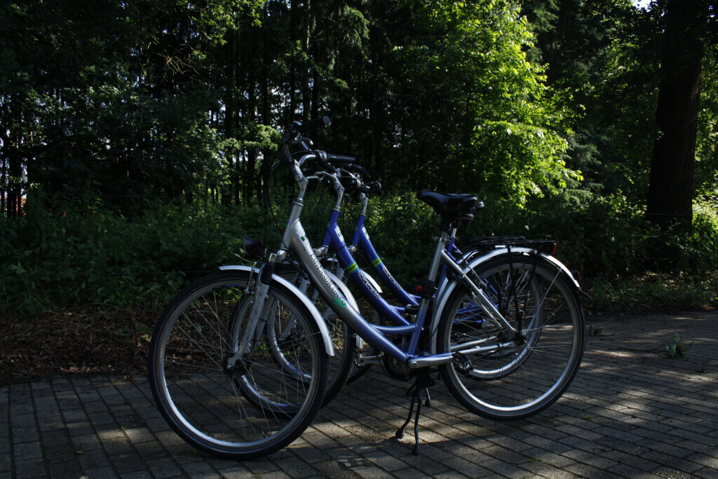 Bilder Ferienhof Seitz