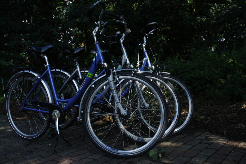 Bilder Ferienhof Seitz