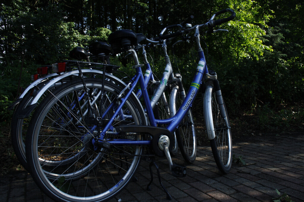 Bilder Ferienhof Seitz