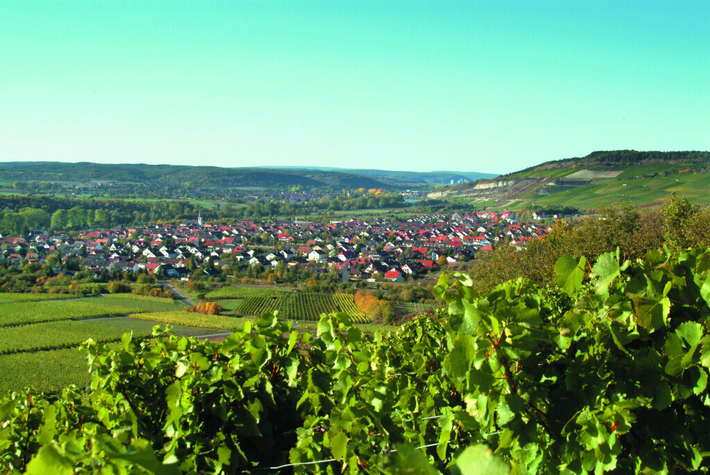 Bilder Tourist-Information Veitshöchheim