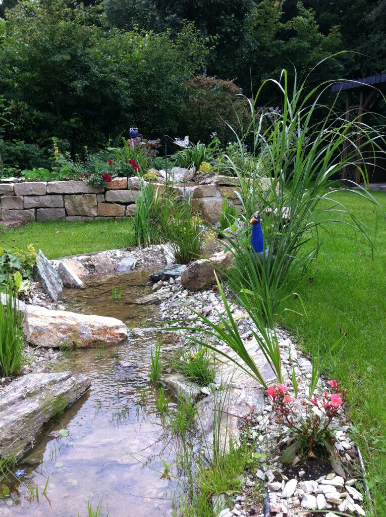 Bilder RMG Rhein-Main-Gruen GmbH Garten- und Landschaftsbau