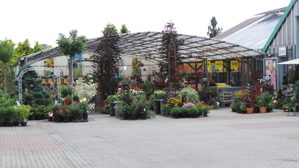 Bilder Lameyer Blumen und Pflanzen