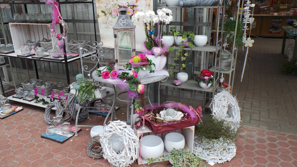 Bilder Lameyer Blumen und Pflanzen