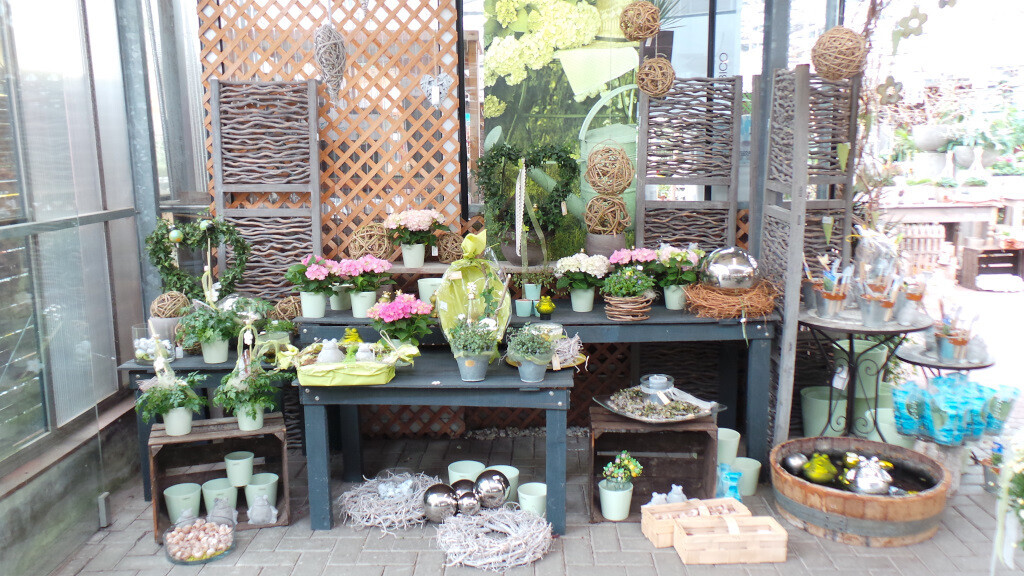 Bilder Lameyer Blumen und Pflanzen