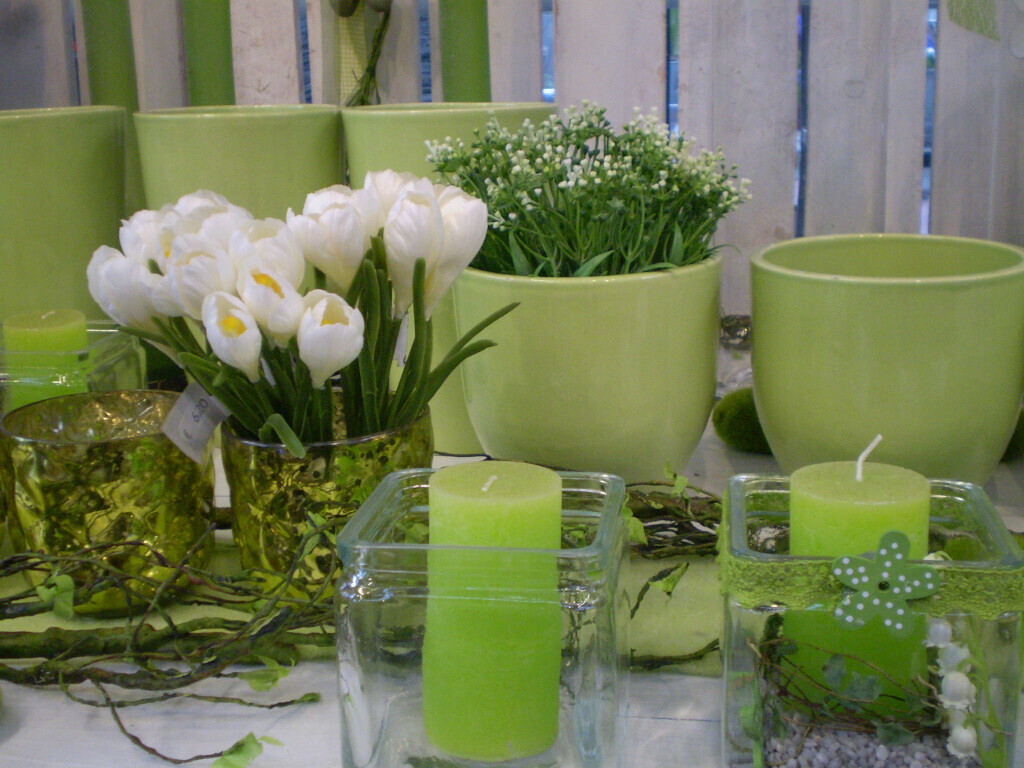 Bilder Lameyer Blumen und Pflanzen