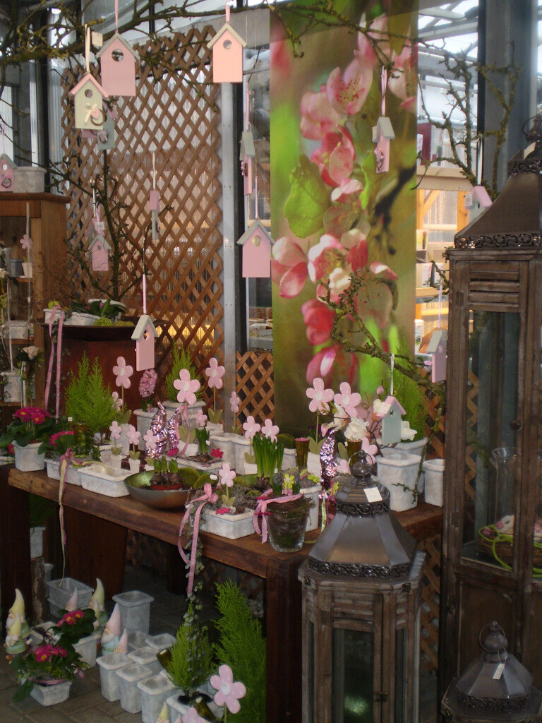 Bilder Lameyer Blumen und Pflanzen