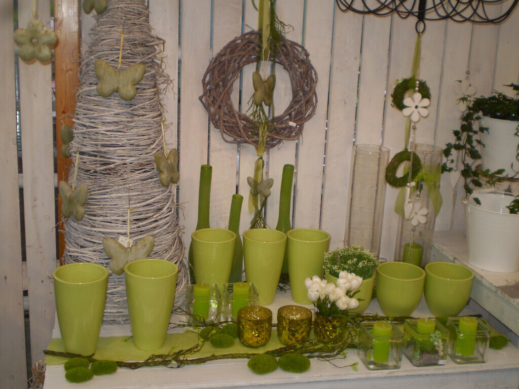 Bilder Lameyer Blumen und Pflanzen