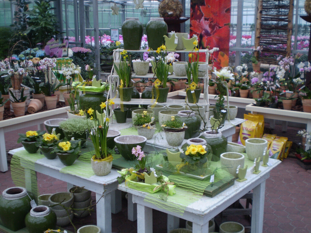 Bilder Lameyer Blumen und Pflanzen