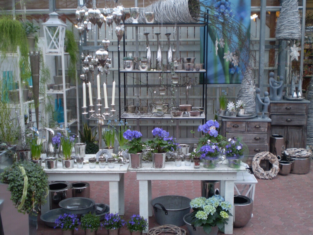 Bilder Lameyer Blumen und Pflanzen