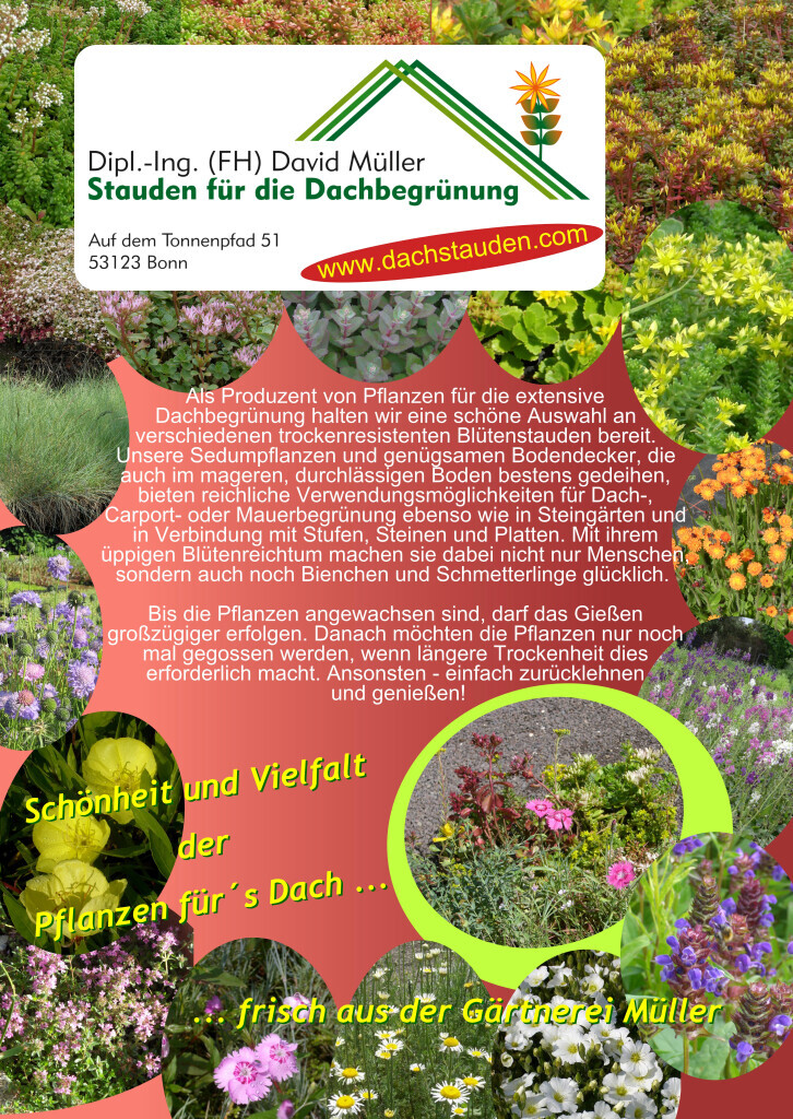 Bilder Staudengärtnerei David Müller