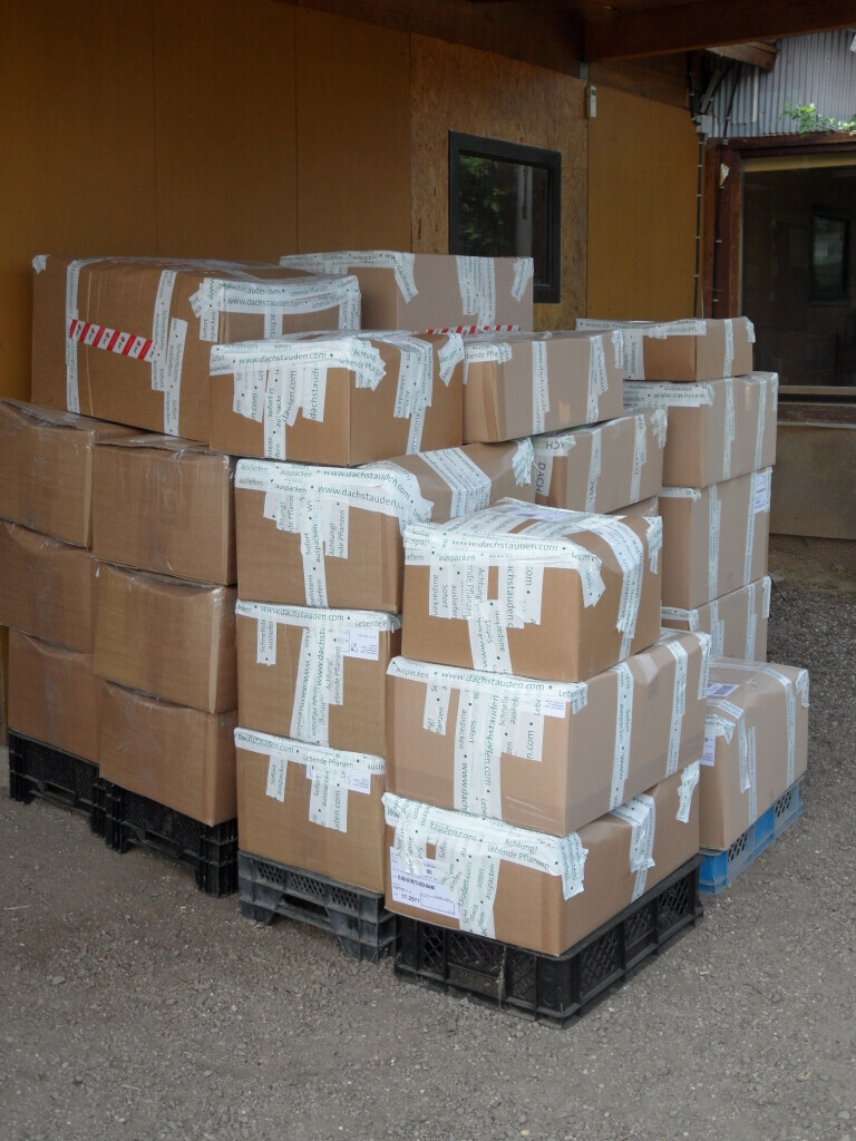 Bilder Staudengärtnerei David Müller