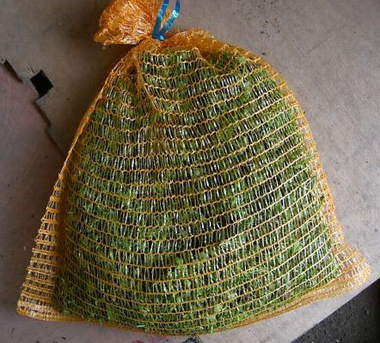 Bilder Staudengärtnerei David Müller