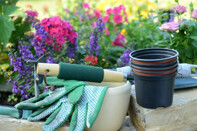 Bilder Olaf Kehrberg Garten- & Handwerksbetrieb