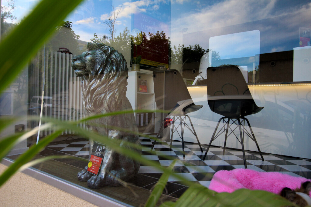 Bilder DOMINIK HÜTHER IMMOBILIEN Immobilienmakler Ludwigshafen