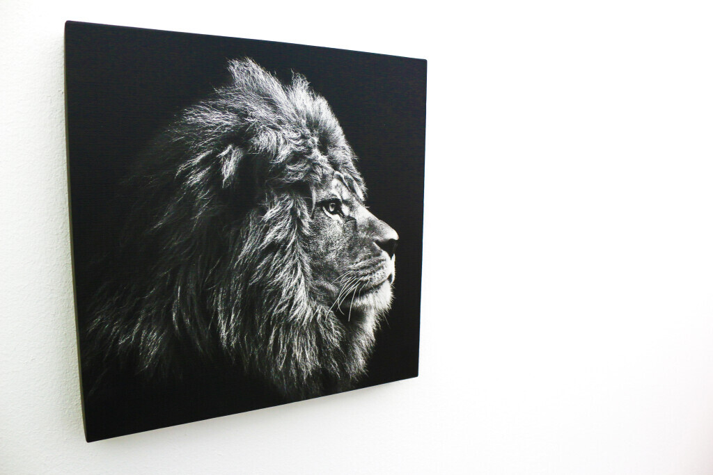 Bilder DOMINIK HÜTHER IMMOBILIEN Immobilienmakler Ludwigshafen