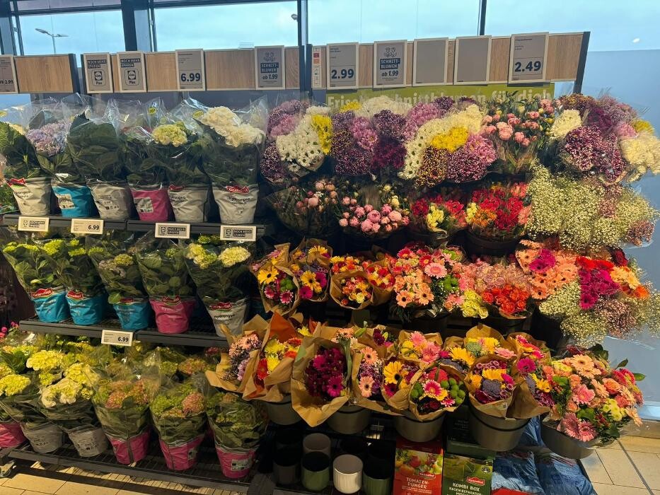 Bilder Lidl